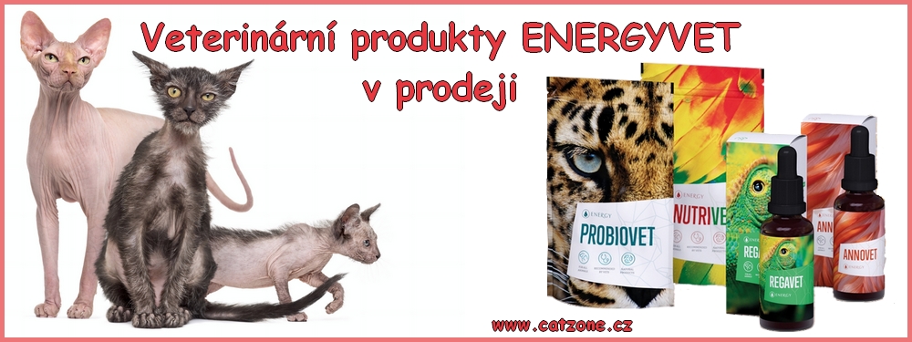 Info o dění v CatZone