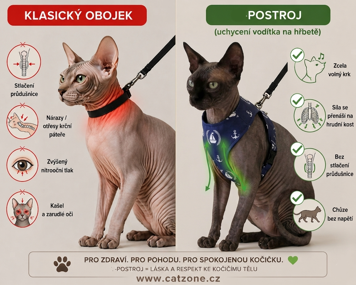 Kšíry pro kočky: Bezpečí a pohodlí na každém kroku