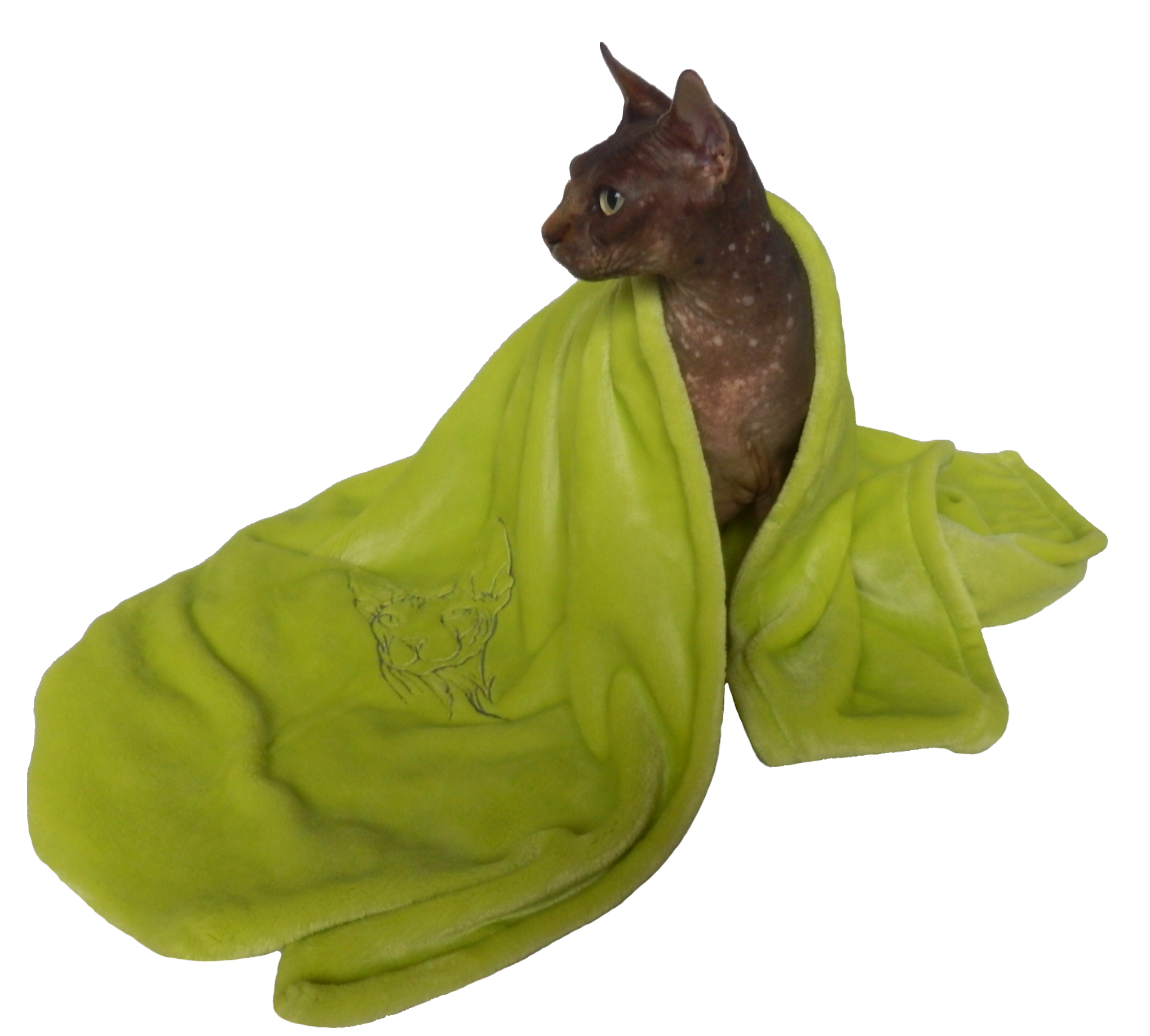 Deky pro Sphynx 
