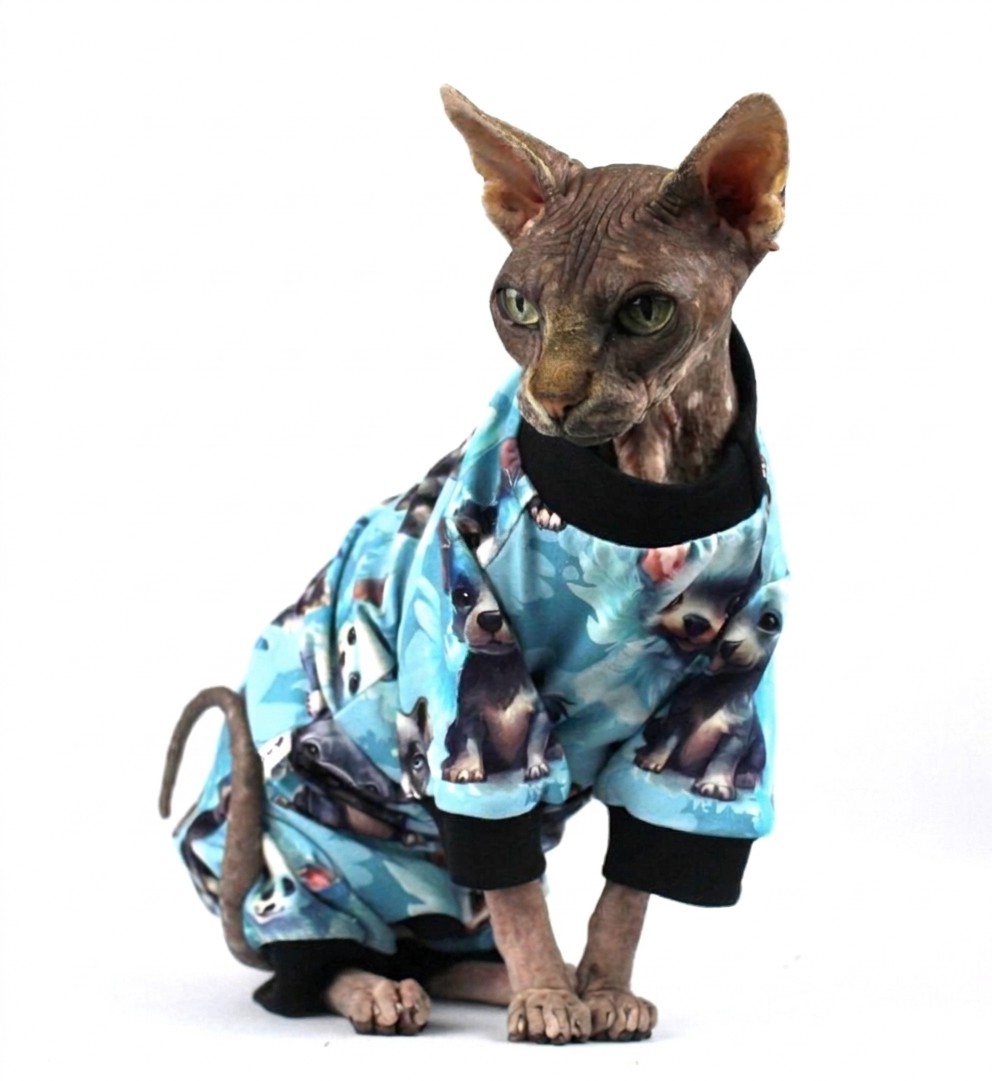 Pyžamo pro Sphynx 