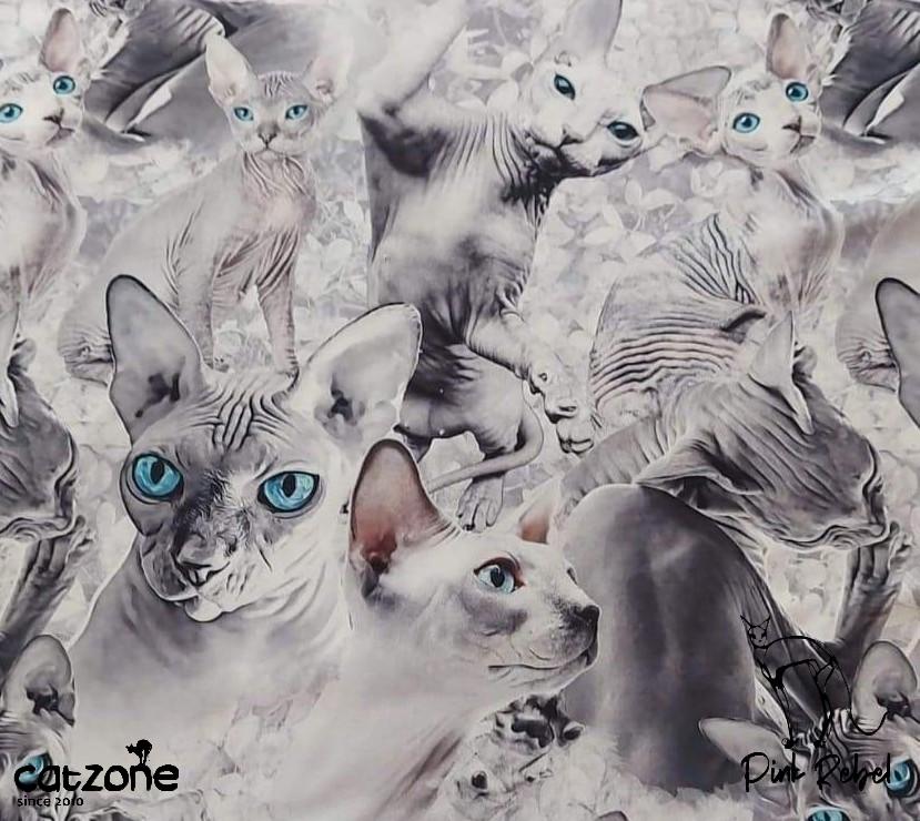 Set pro paničku a sphynxe