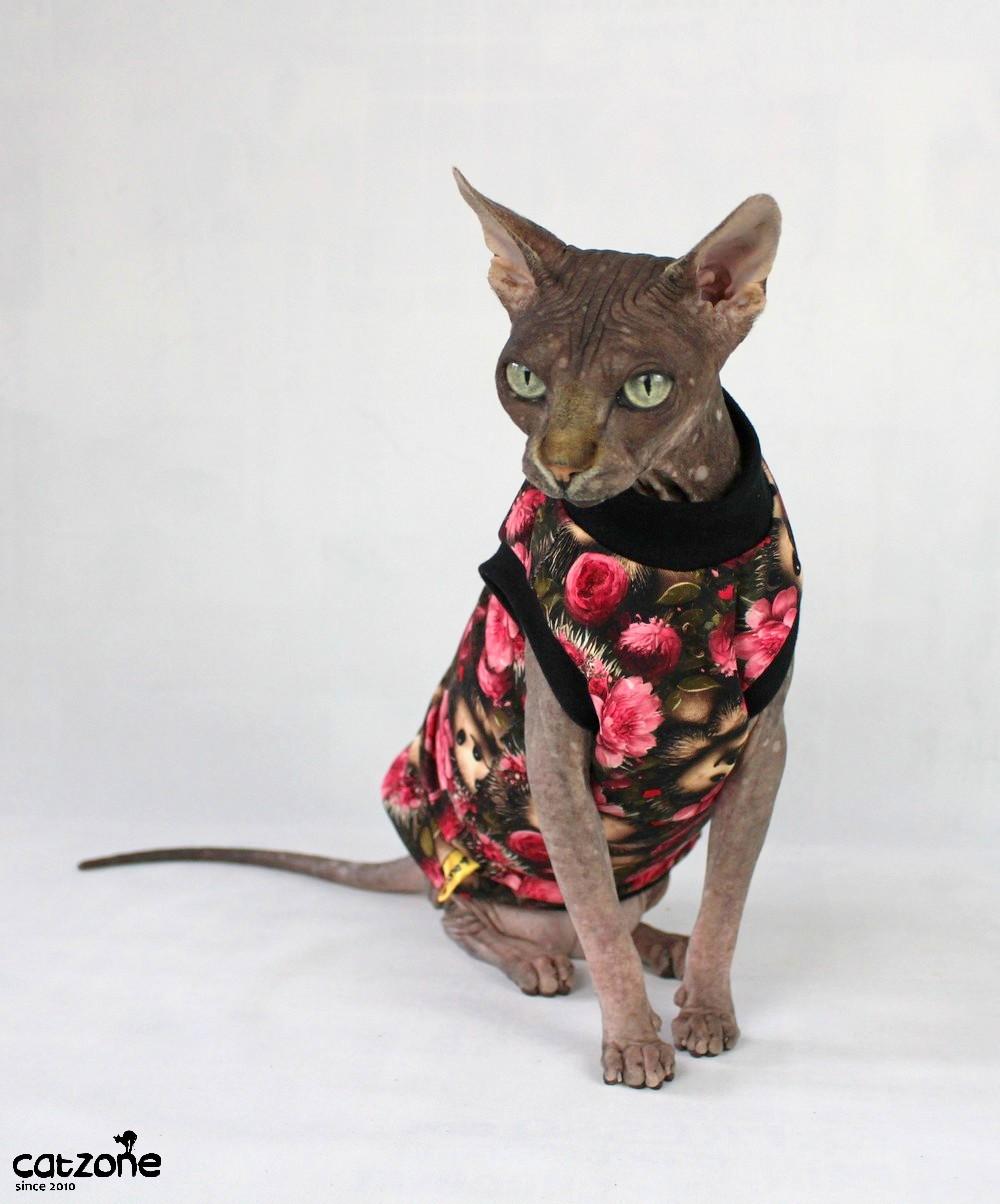 Mikina pro sphynx-ježek