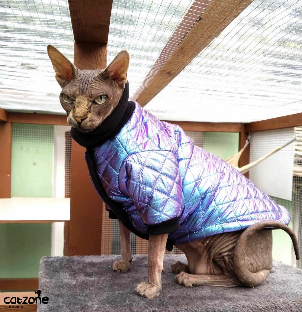 Cestovní bunda pro sphynx s nákrčníkem