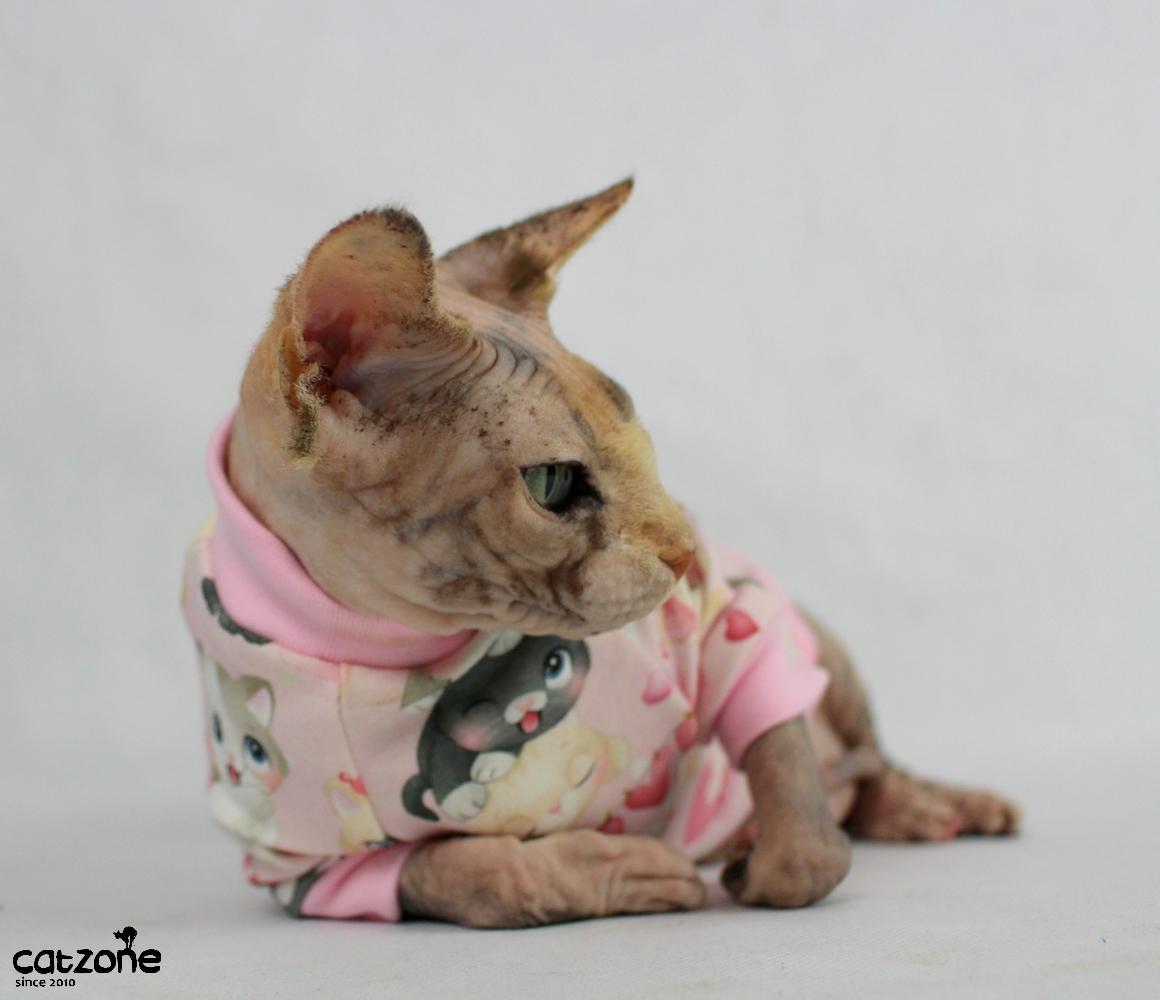 Valentýnská mikinka pro sphynx