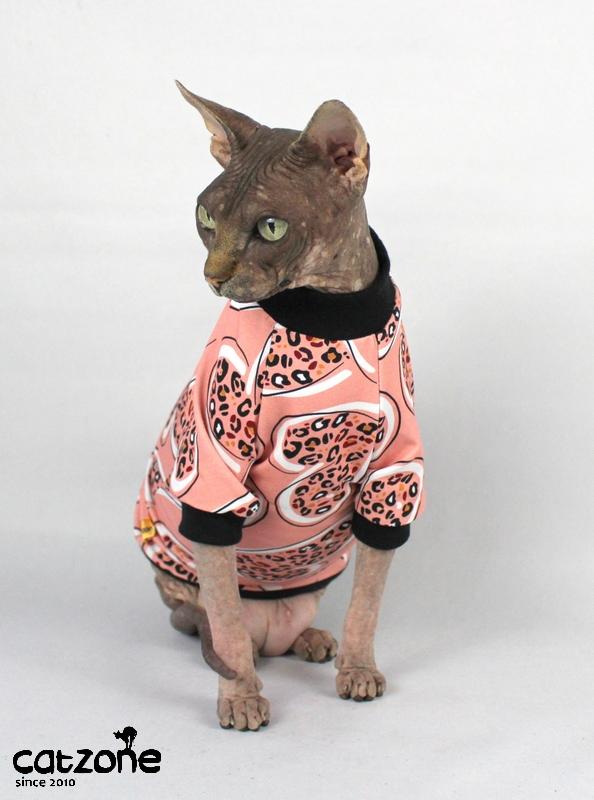 Tričko pro sphynx - raglan