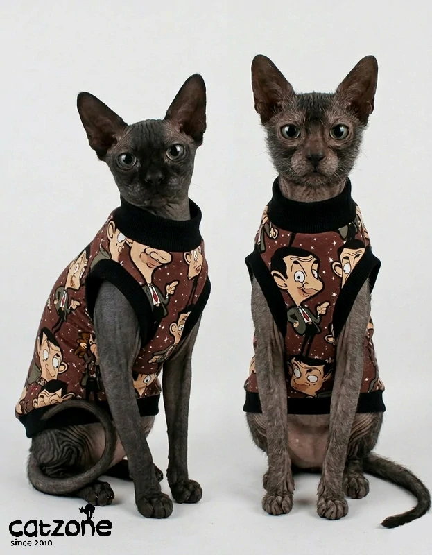 Veselé tričko pro Sphynx