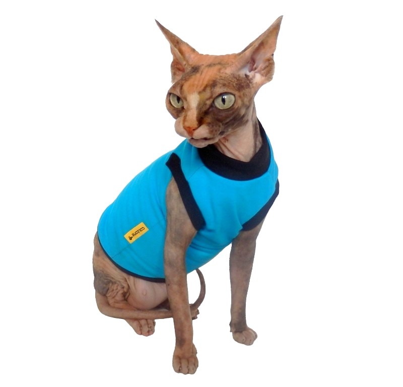 Tričko pro sphynx- tyrkys