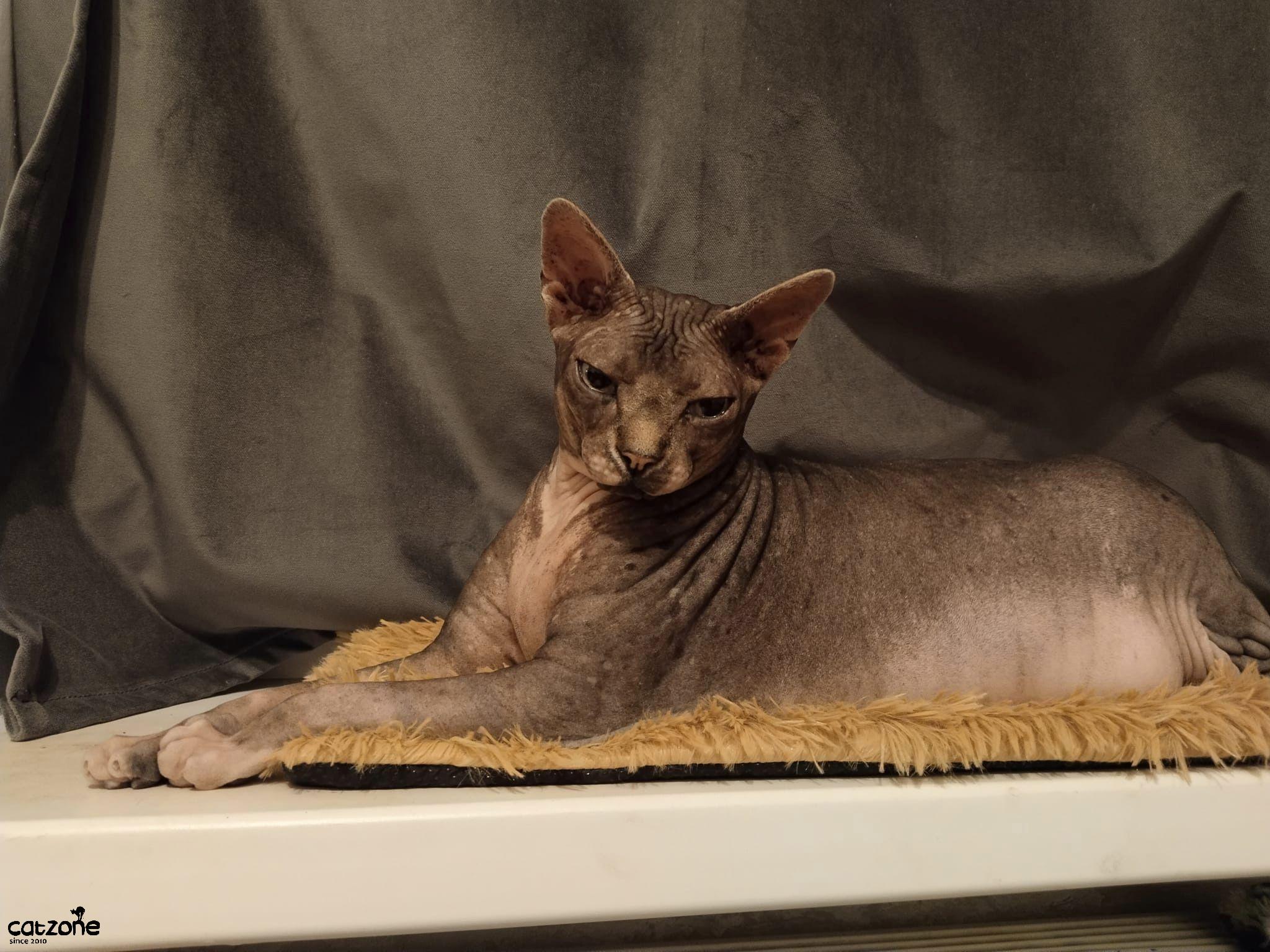 Podložka na parapet 