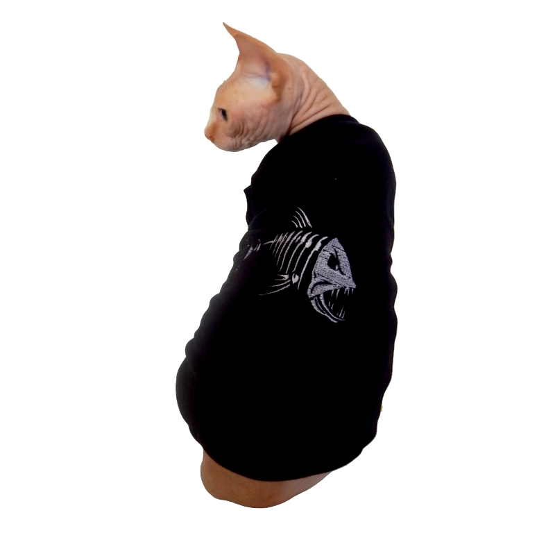 Kočičky mají rádi rybičky :-)