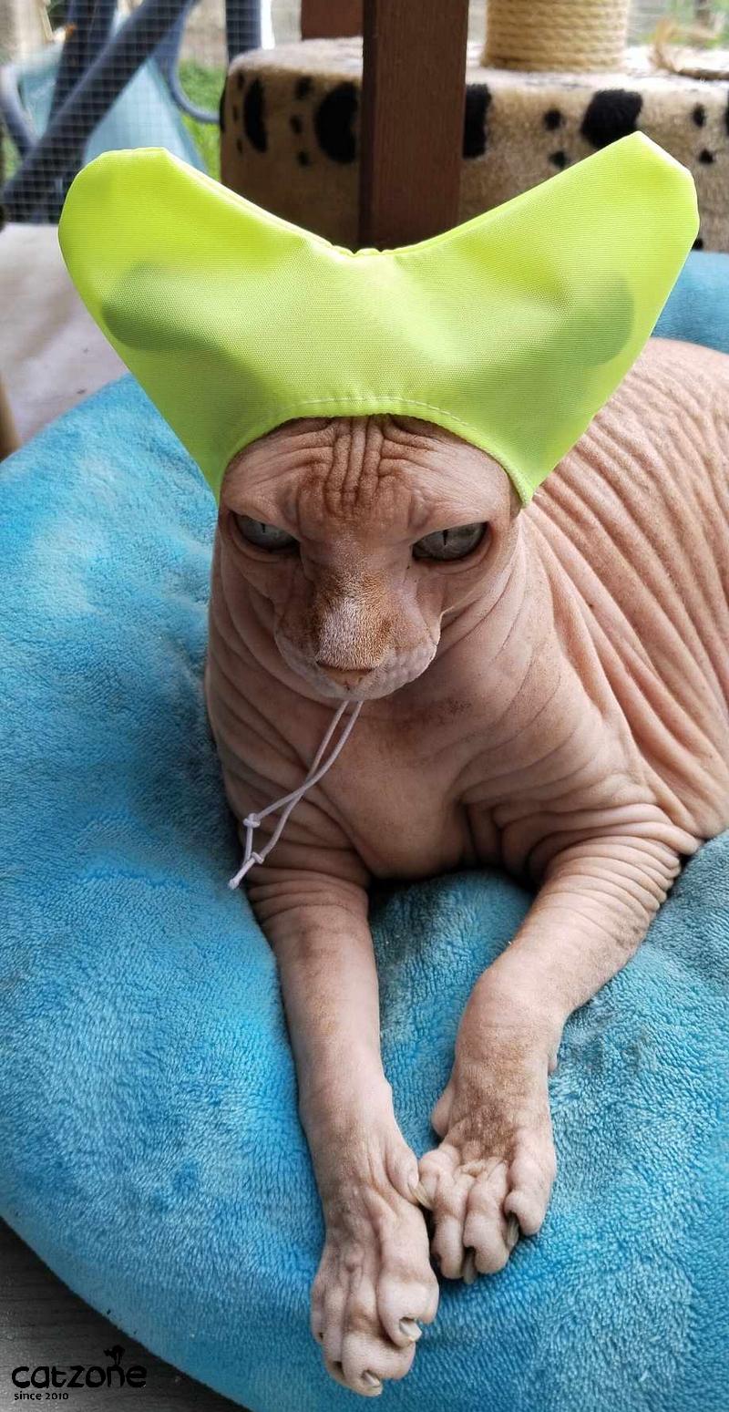 Koupací uši :-)