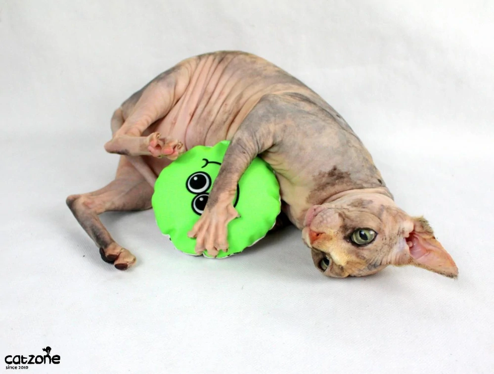 Ksichtíci -hračka pro sphynx