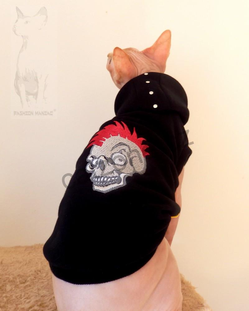 Sphynx drsoňem :)