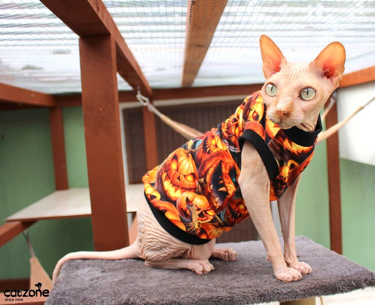 Tričko pro sphynx- halloween