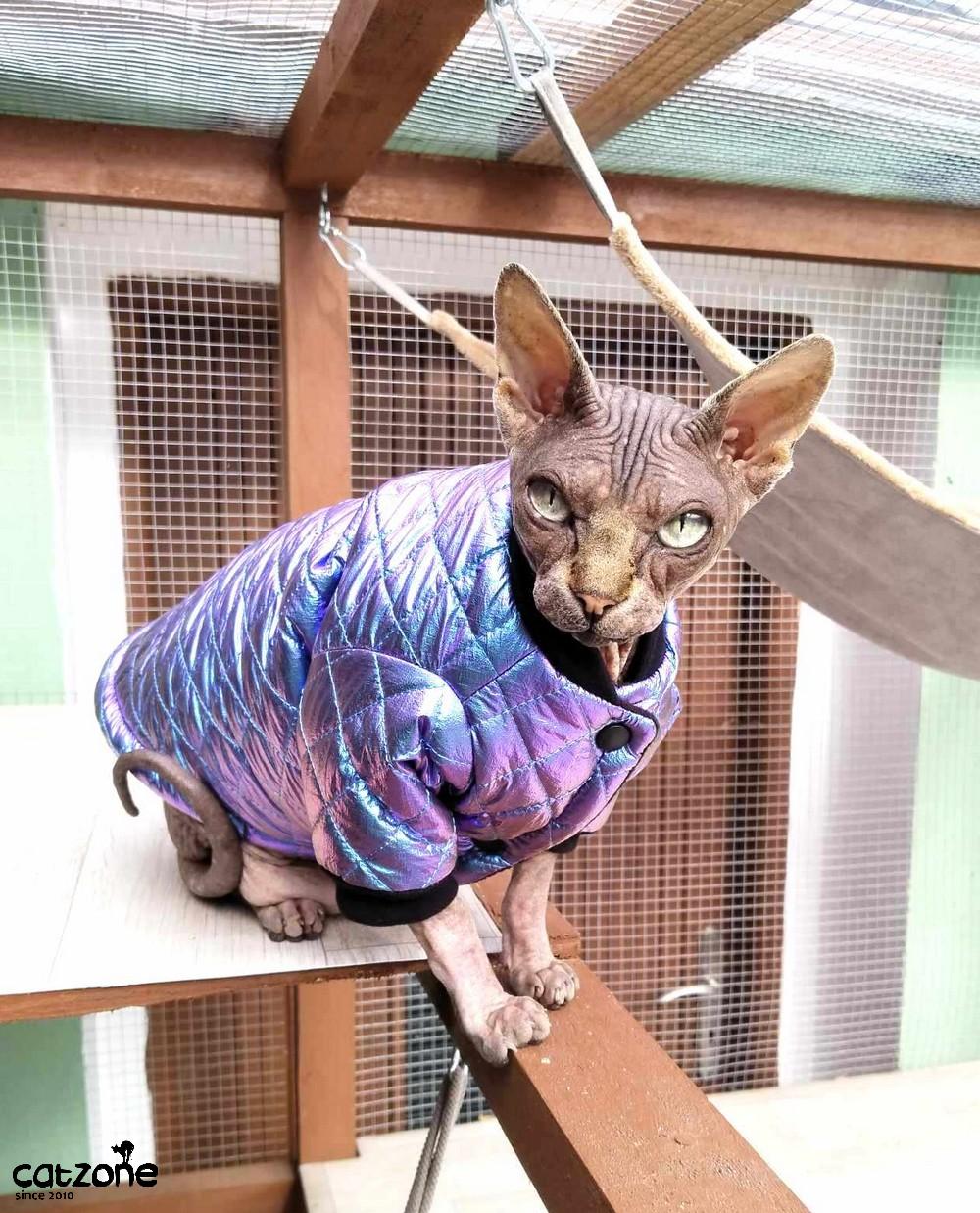 Cestovní bunda pro sphynx s nákrčníkem