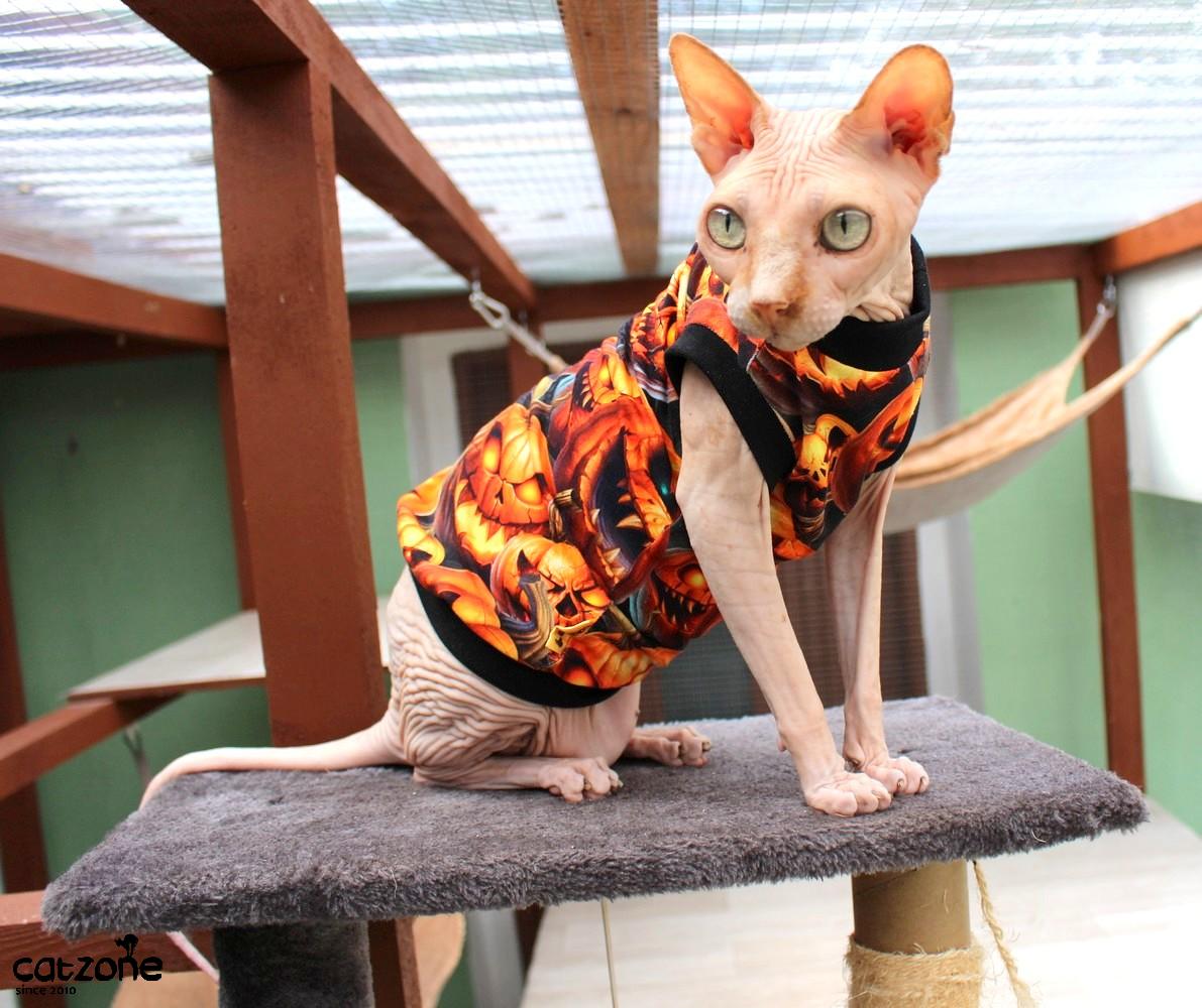 Tričko pro sphynx- halloween