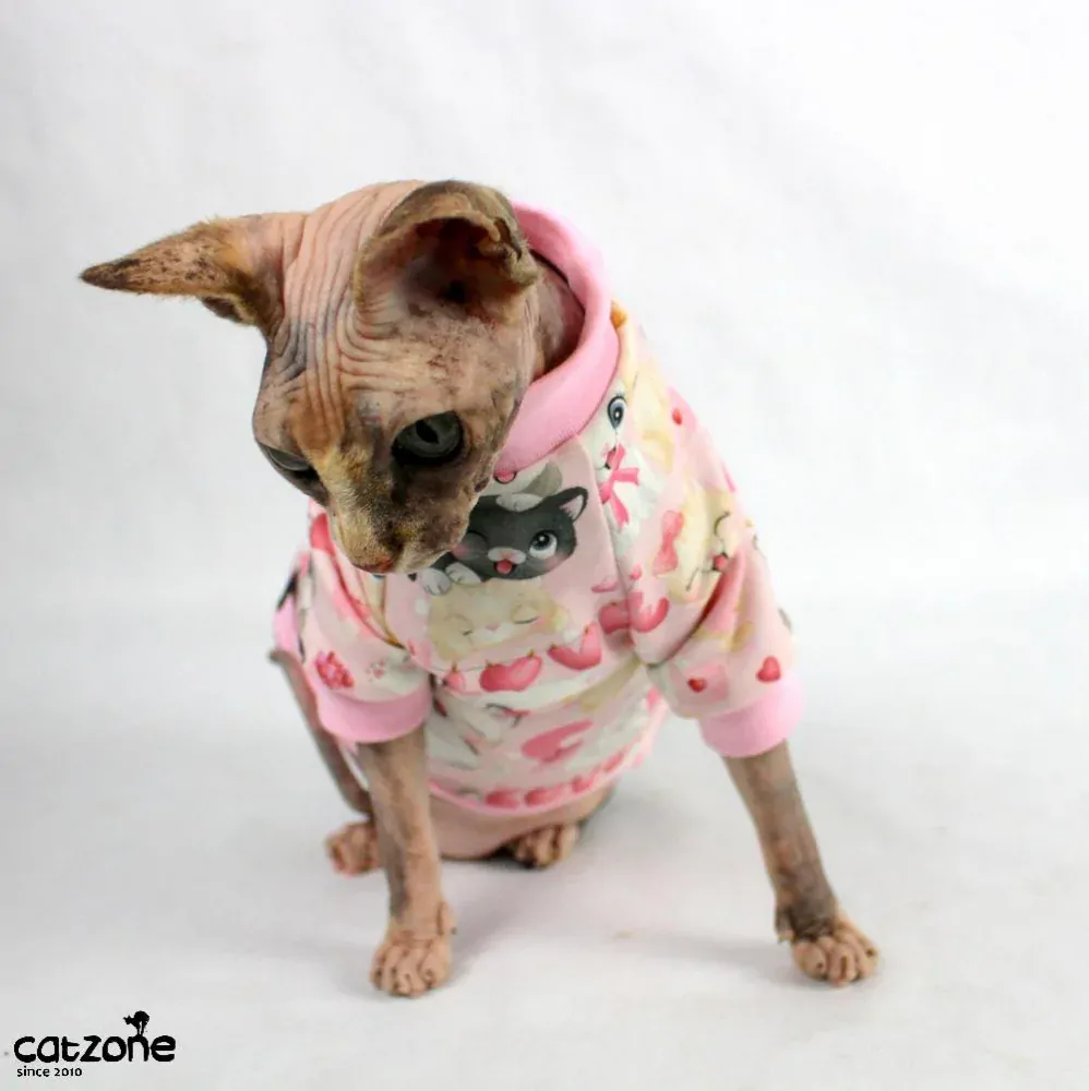 Valentýnská mikinka pro sphynx