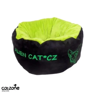 Debbie - název CHS /jméno kočičky NA PŘÁNÍ