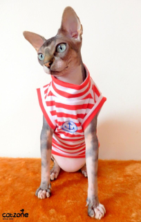 Sphynx námořníkem II