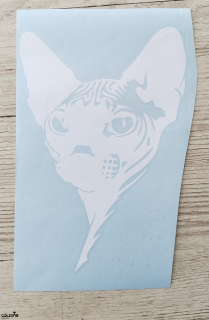 Samolepka na auto - Sphynx