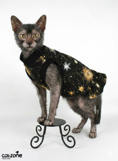 Šaty pro Sphynx - vánoční