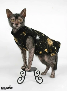Šaty pro Sphynx - vánoční 