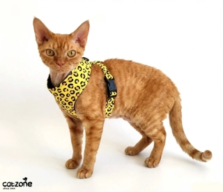 Kšíry- zvířecí vzor