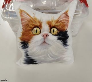 3D dekorativní polštářek kočka