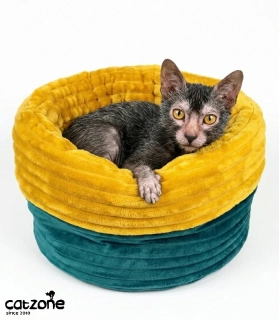 Pelíšek Harry- minky